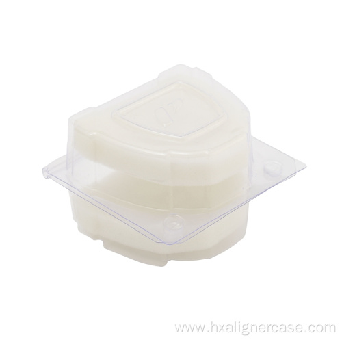 PVC Plastic Transparent Denture Storage Cases With Sponge